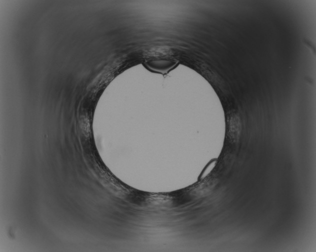X0000103270617200809261203