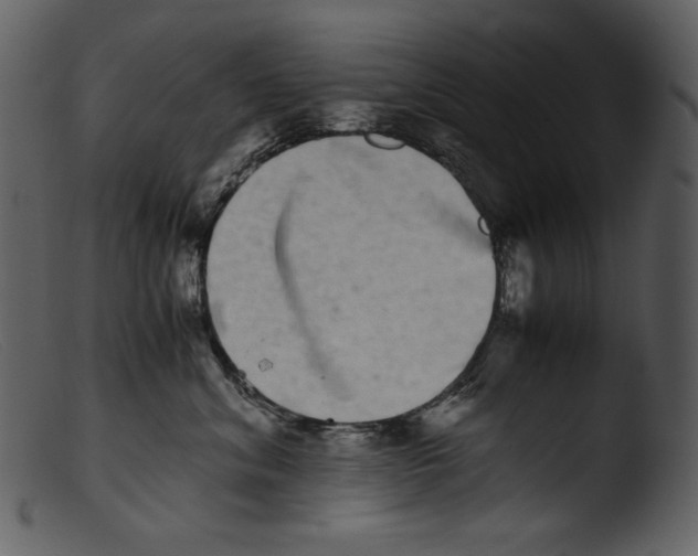 X0000103270620200809261203