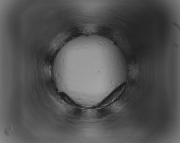 X0000103270621200809261203