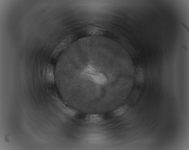 X0000103270622200809261203