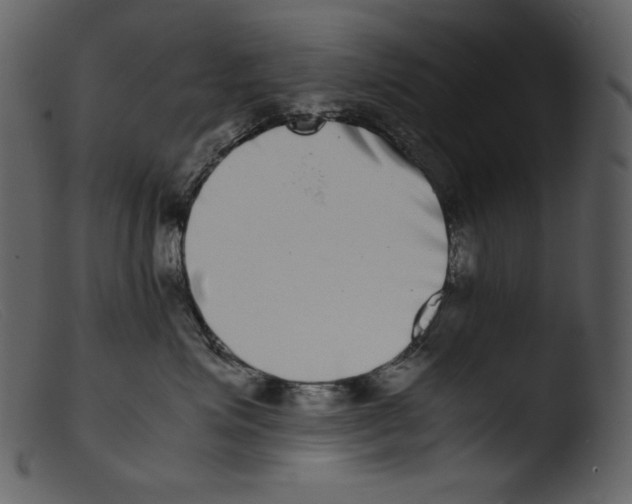 X0000103270623200809261203