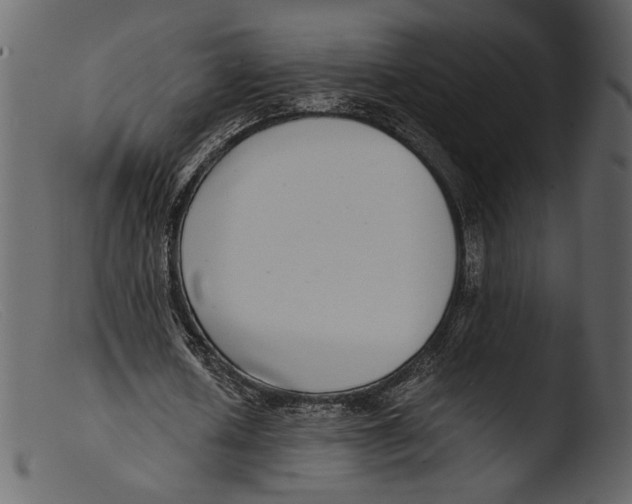X0000103270626200809261203