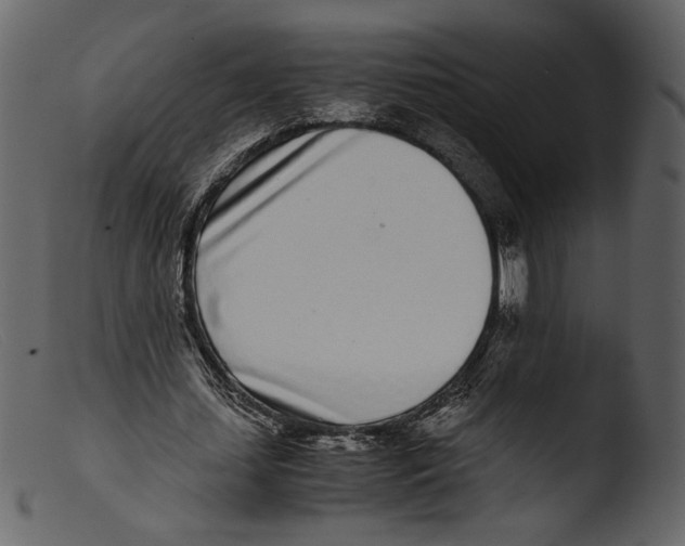 X0000103270627200809261203