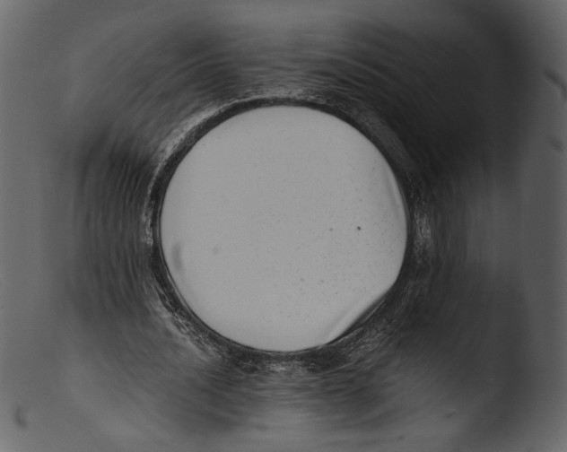 X0000103270628200809261203