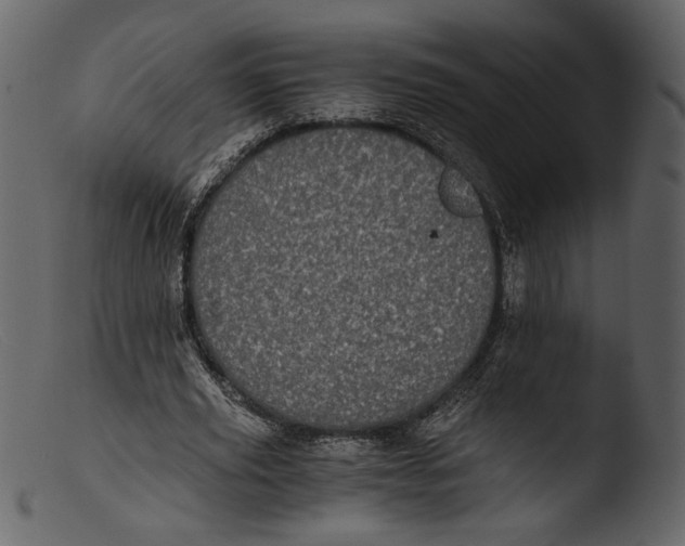 X0000103270629200809261203