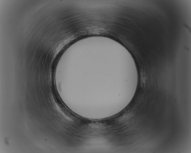 X0000103270630200809261203