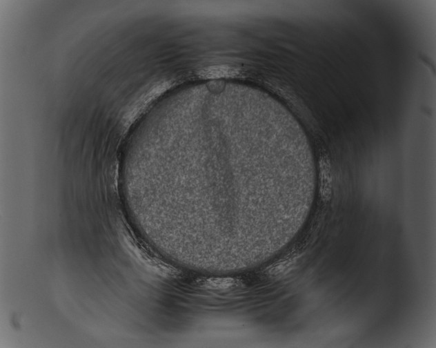 X0000103270631200809261203