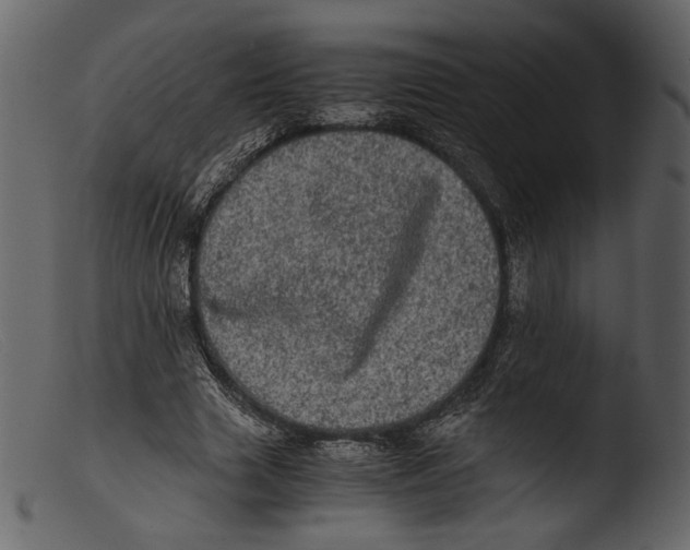 X0000103270633200809261203
