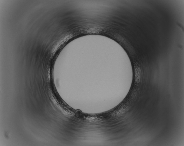 X0000103270634200809261203