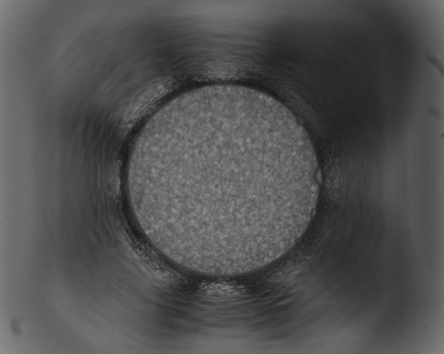 X0000103270635200809261203