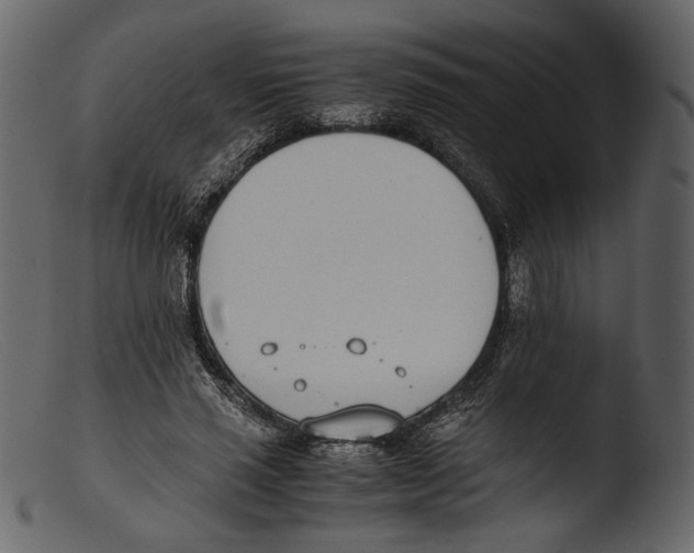X0000103270637200809261203