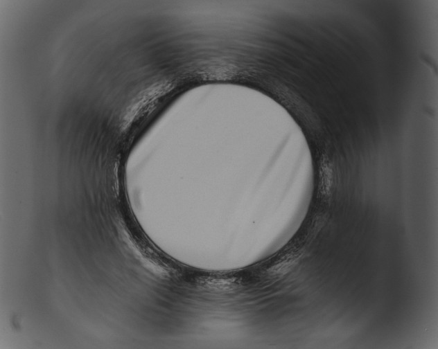 X0000103270638200809261203