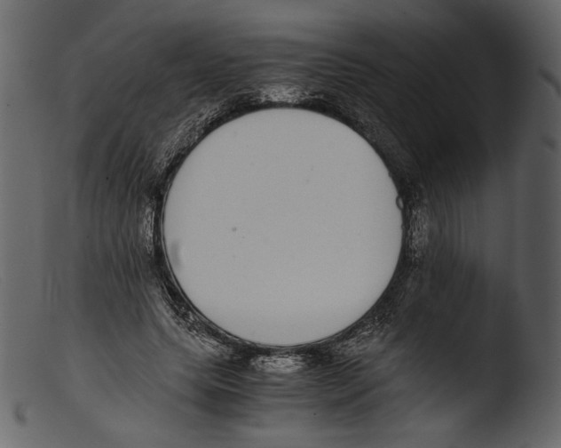 X0000103270639200809261203