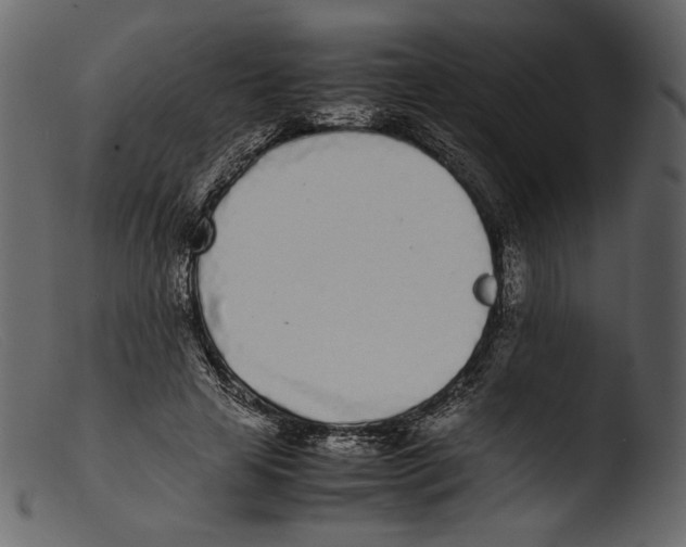 X0000103270641200809261203