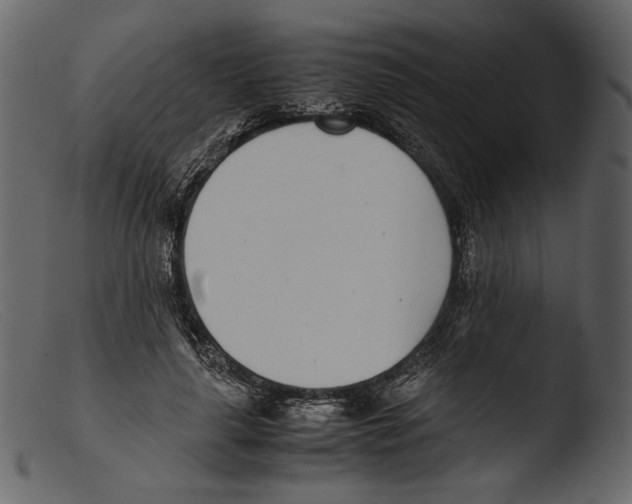 X0000103270643200809261203