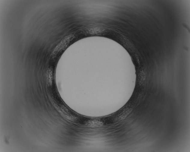 X0000103270644200809261203