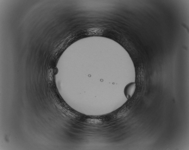 X0000103270649200809261203