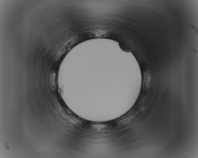 X0000103270650200809261203