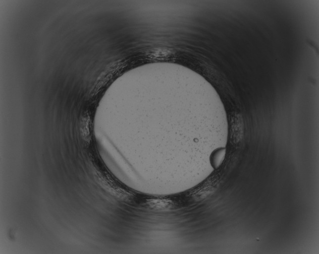 X0000103270654200809261203