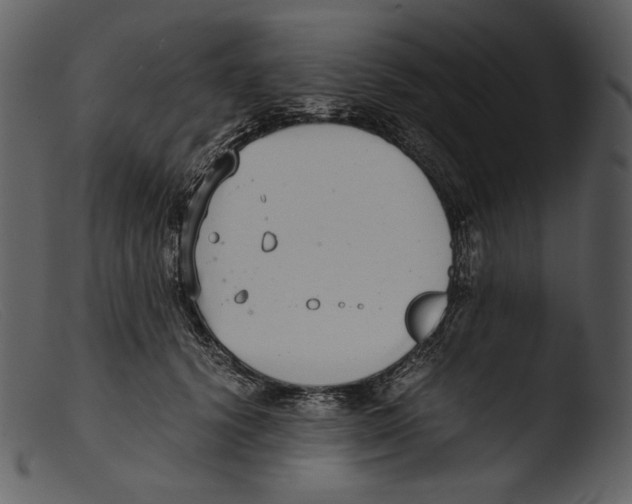 X0000103270656200809261203