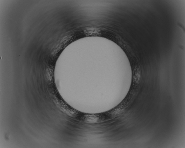 X0000103270658200809261203