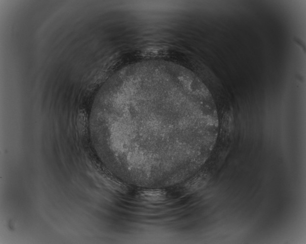 X0000103270659200809261203