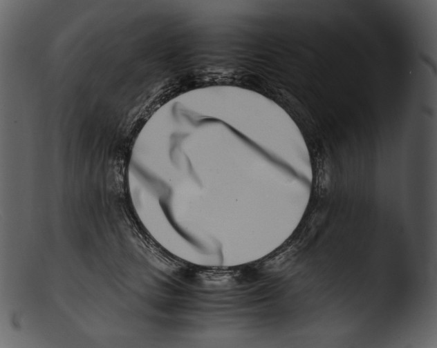 X0000103270661200809261203