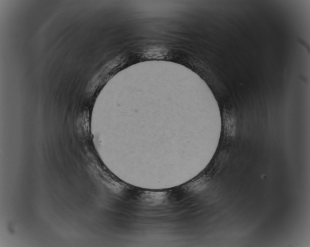 X0000103270665200809261203