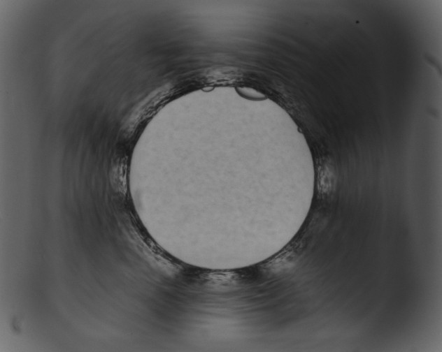 X0000103270666200809261203