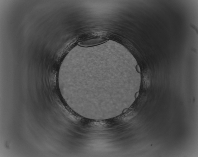 X0000103270668200809261203