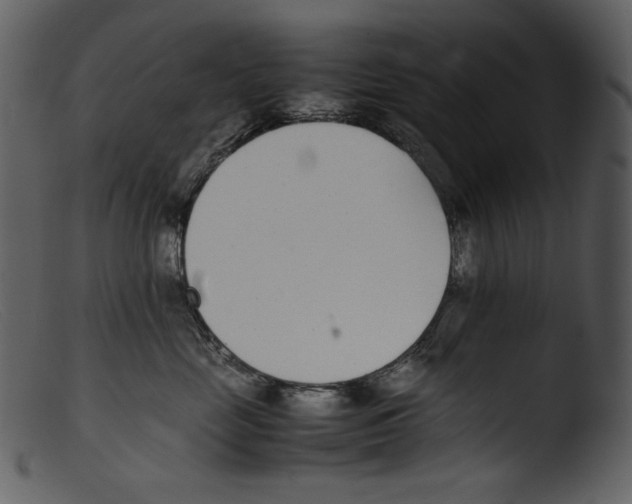 X0000103270669200809261203