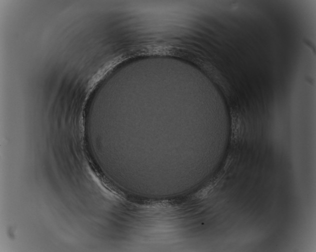 X0000103270674200809261203