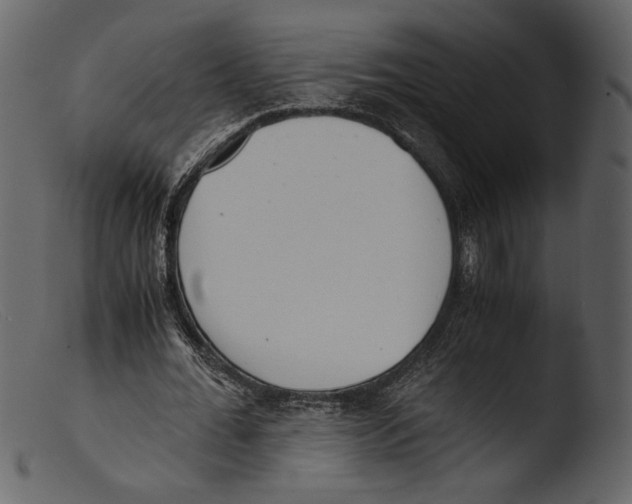 X0000103270676200809261203