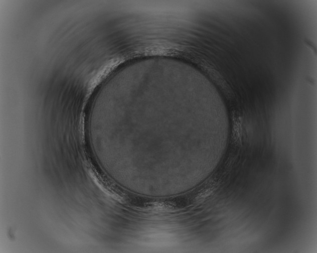 X0000103270678200809261203