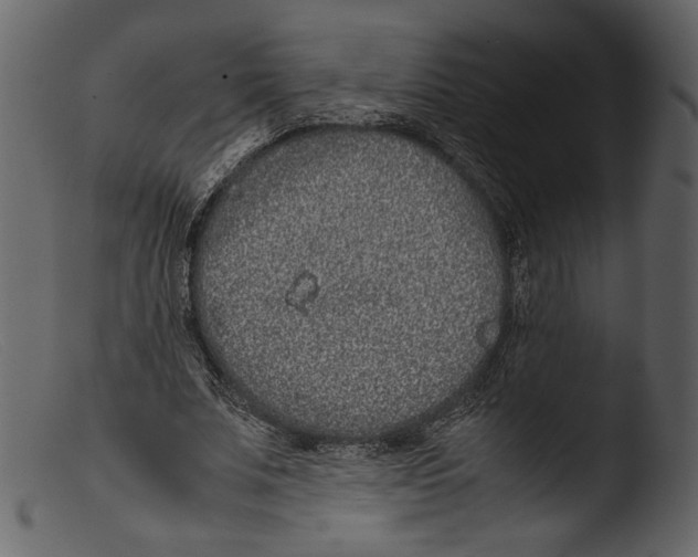 X0000103270679200809261203