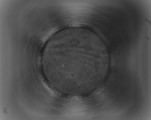 X0000103270683200809261203