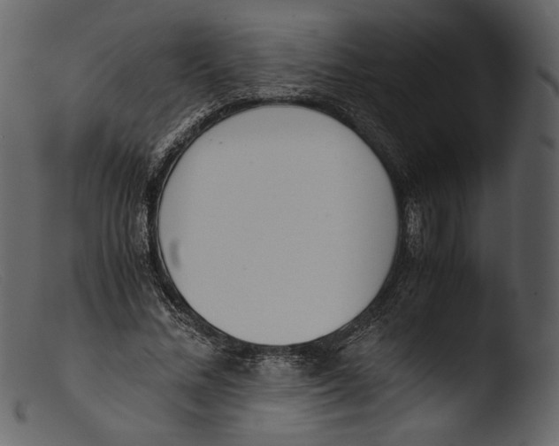 X0000103270684200809261203