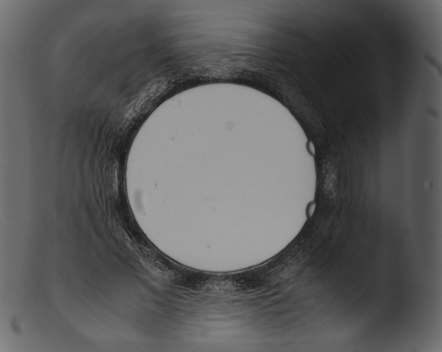 X0000103270685200809261203