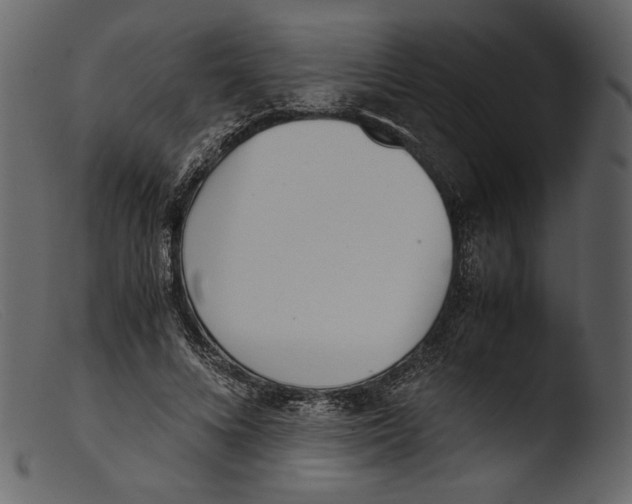 X0000103270688200809261202