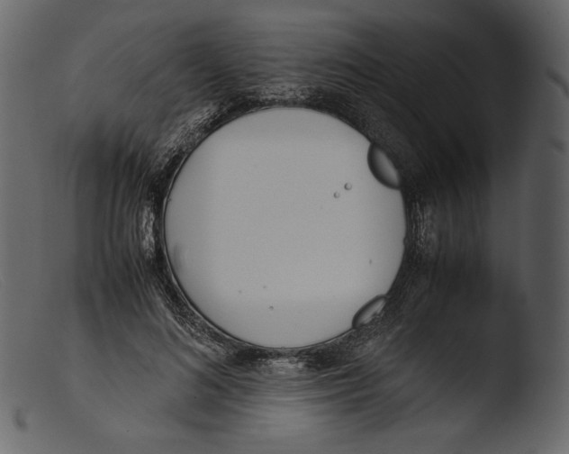 X0000103270692200809261202