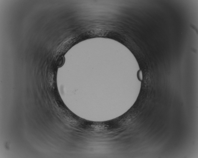 X0000103270693200809261202