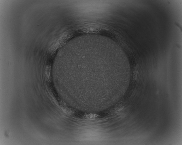 X0000103270695200809261202