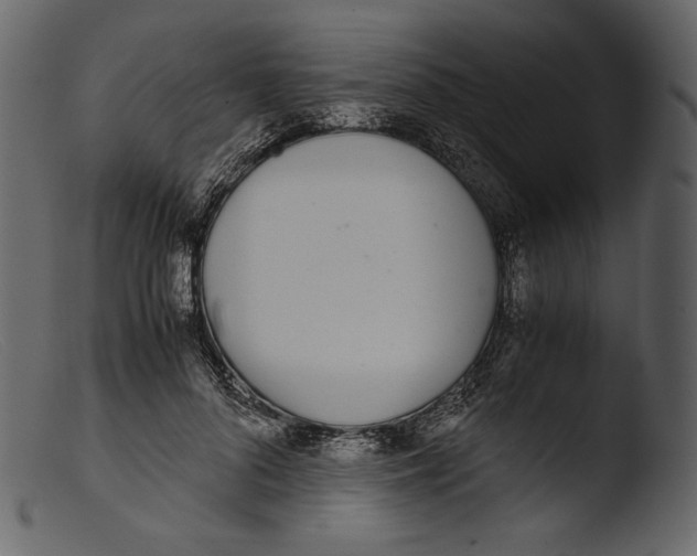 X0000103270696200809261202