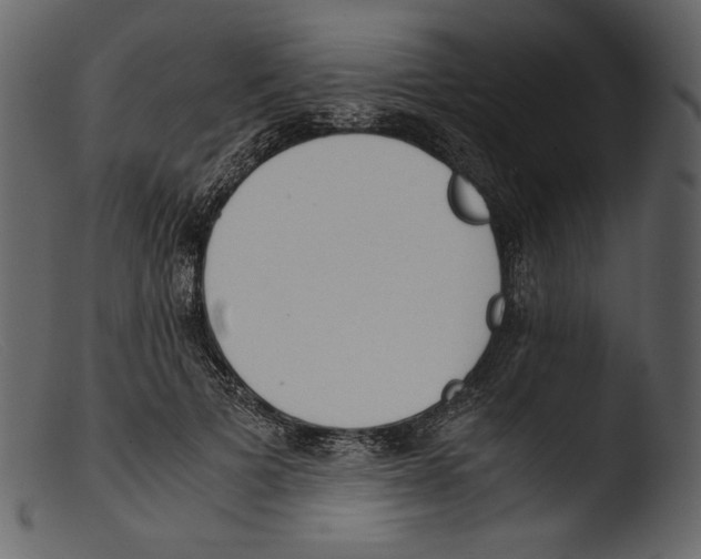 X0000103270697200809261202