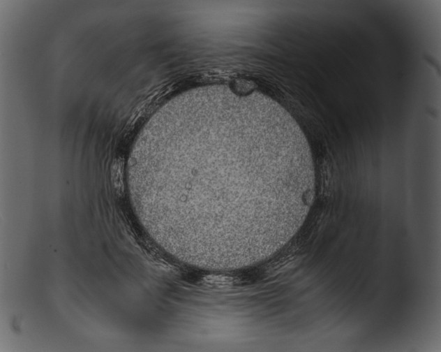 X0000103270699200809261202