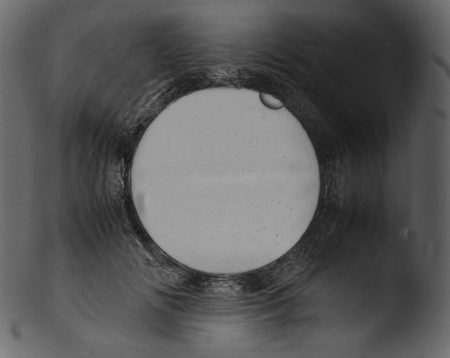 X0000103270702200809261202