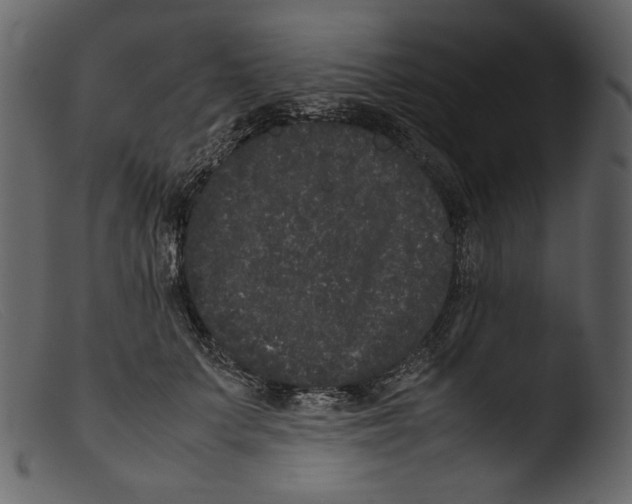 X0000103270703200809261202