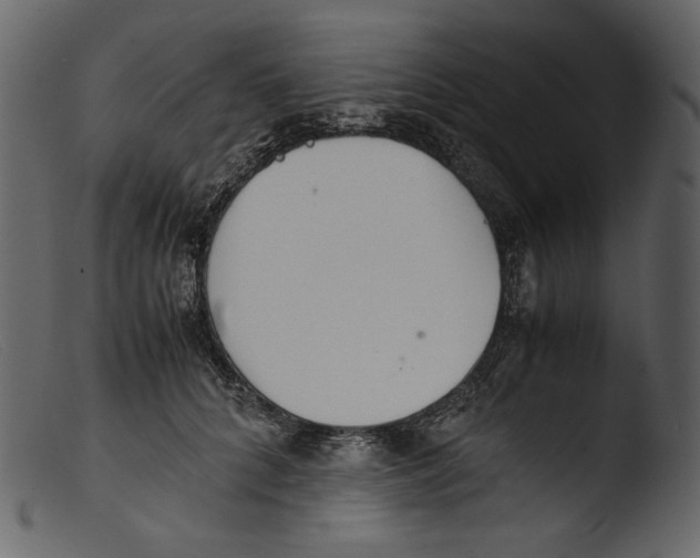 X0000103270704200809261202