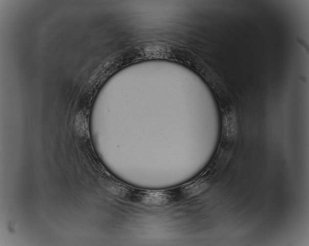 X0000103270705200809261202