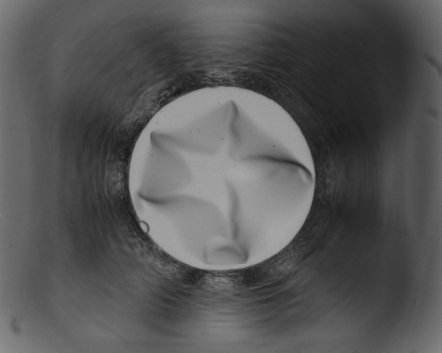 X0000103270706200809261202